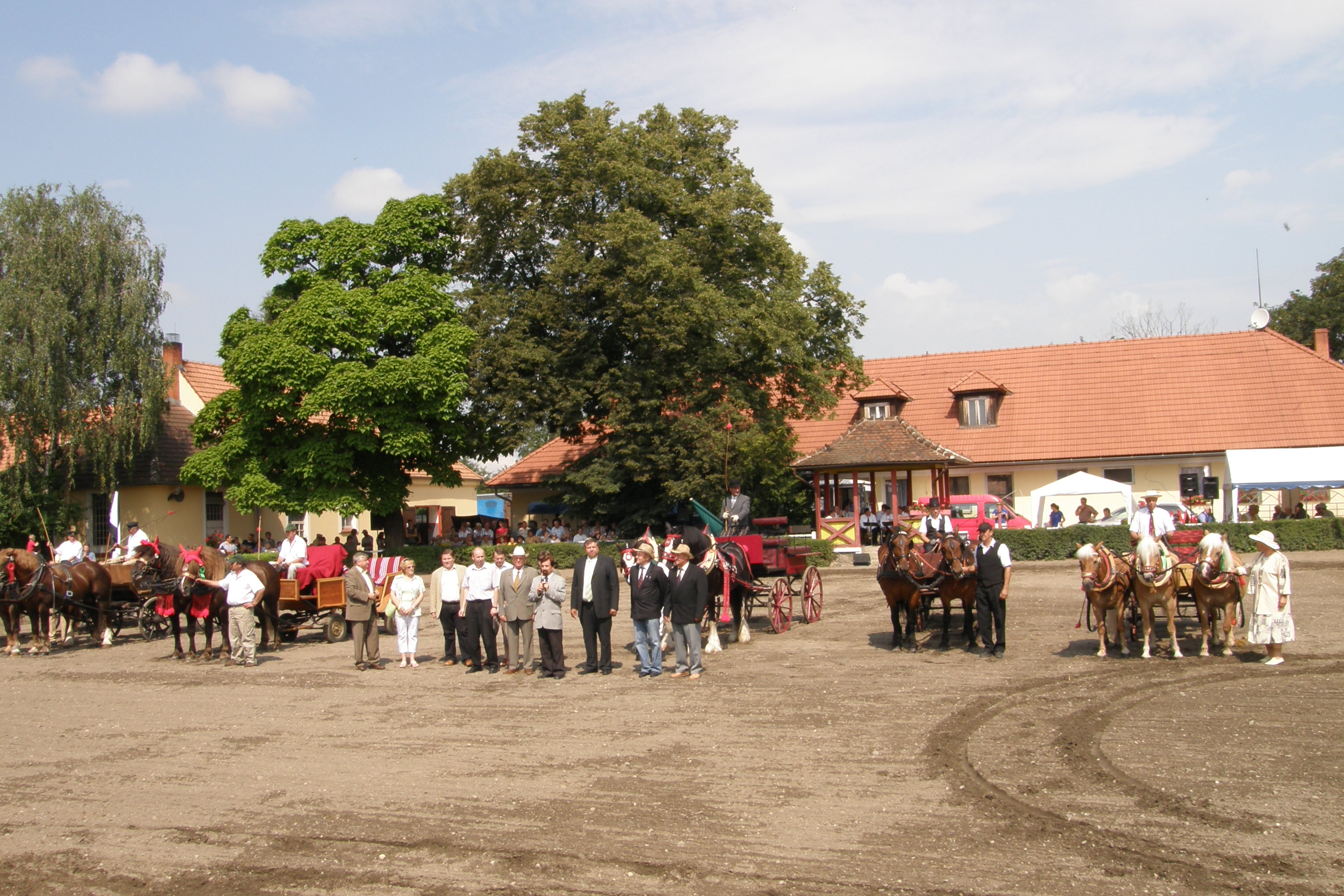 Výstava koní chovatelů Moravy a Slezska 3