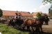 Výstava koní chovatelů Moravy a Slezska 2